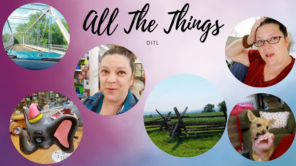 All The Things Life Update